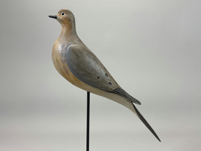 Eddie Wozny – Dove – 2026