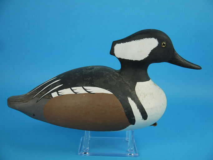 Art Birdsall – Hooded Merganser Drake – 2026