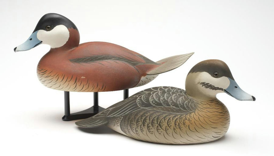 Oliver Lawson – Pair of Ruddy Duck – 2023