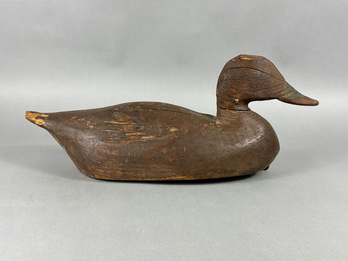 Lloyd Tyler – Black Duck – 2026