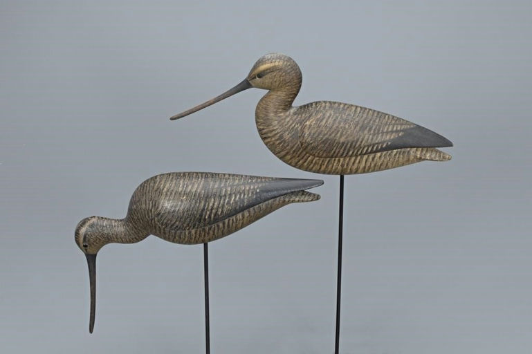 Mark McNair – Godwit Pair – 2019