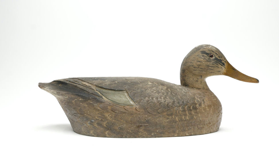 Ben Schmidt – Mallard Hen – 2026