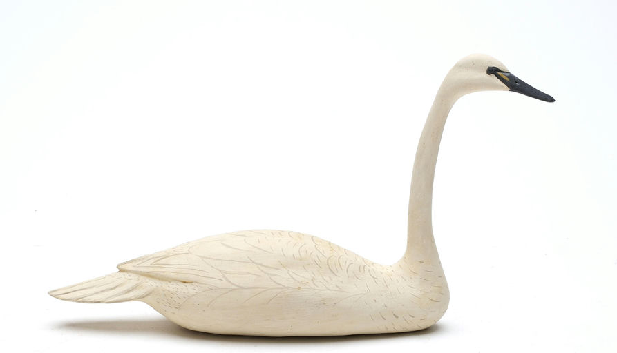 Bob White – Miniature Swan – 2026
