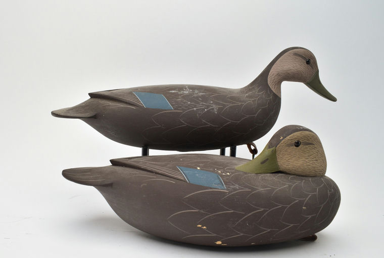 George Strunk – Pair of Black Ducks – 2025
