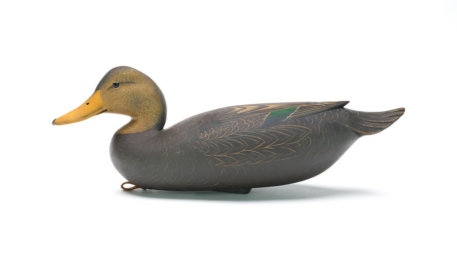 Bob White – Black Duck – 2025