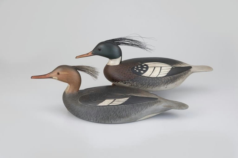 Marty Collins – Red-Breasted Merganser Pair – 2026