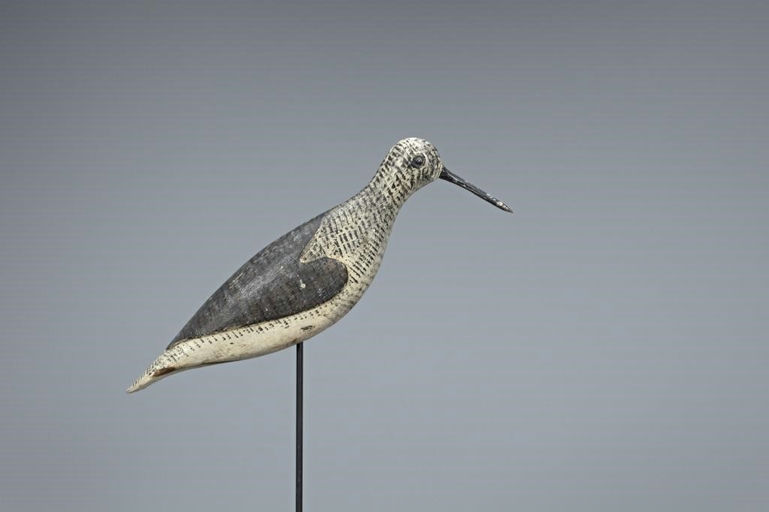 Verity Family – Yellowlegs – 2019