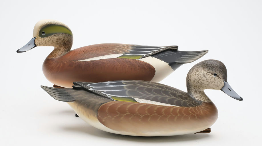 George Strunk – Pair of Wigeon – 2025