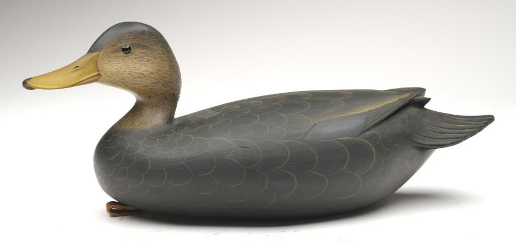 George Strunk – Black Duck – 2023
