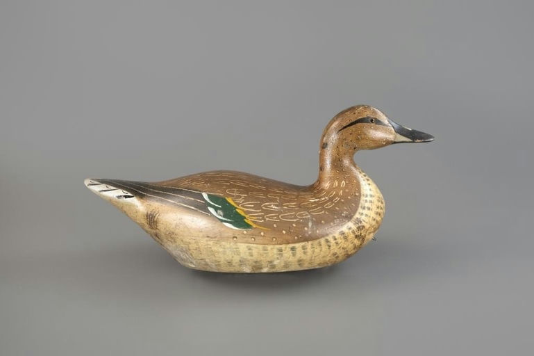Charles Bergman – Pintail Hen – 2025