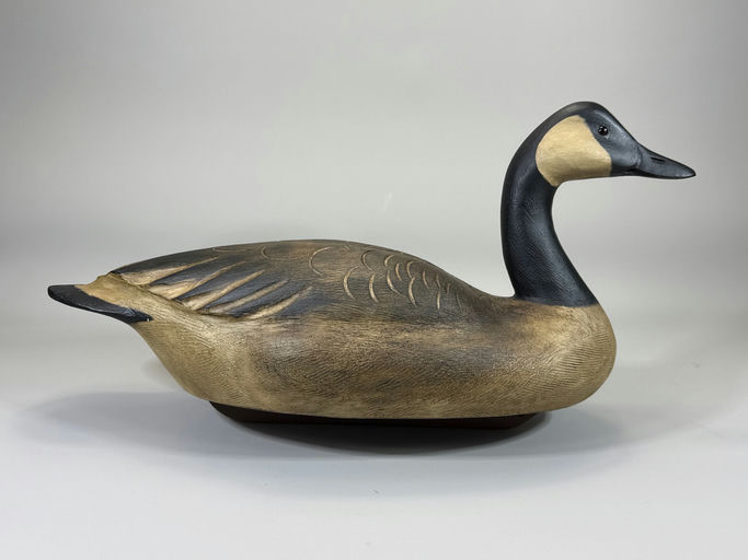 Darkfeather Freedman — Canada Goose