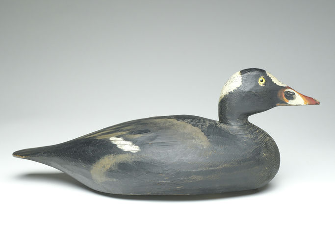Elmer Crowell – Scoter – 2023