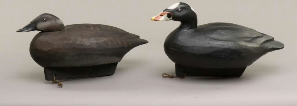 Jim Schmiedlin – Surf Scoter Pair – 2009