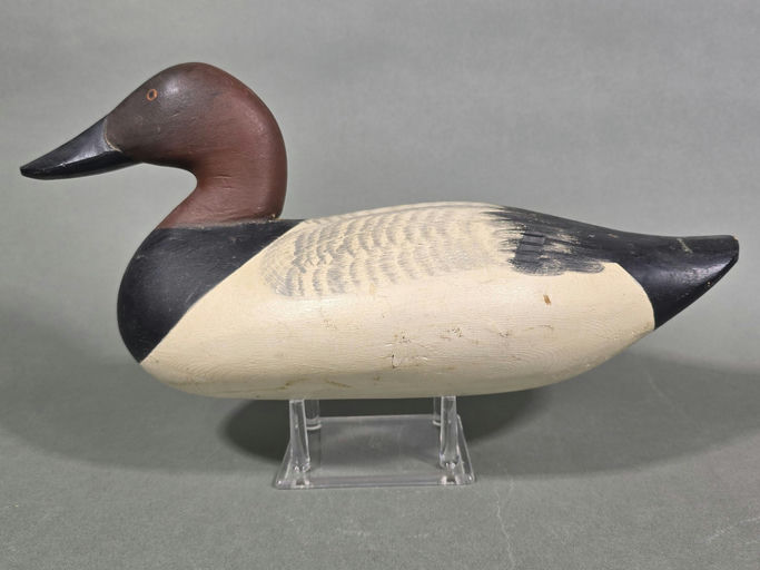 Paul Gibson – Canvasback – 2026