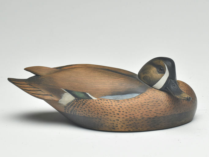 Jim Schmiedlin – Blue-winged Teal – 2023