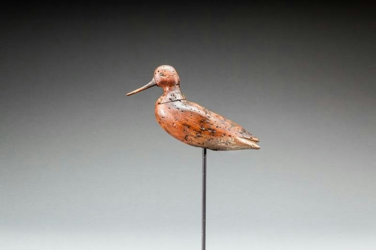 Elkanah B. Cobb – Dowitcher – 2016