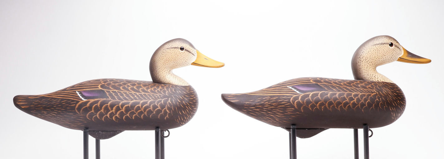 Charlie Joiner – Pair of Black Duck – 2026