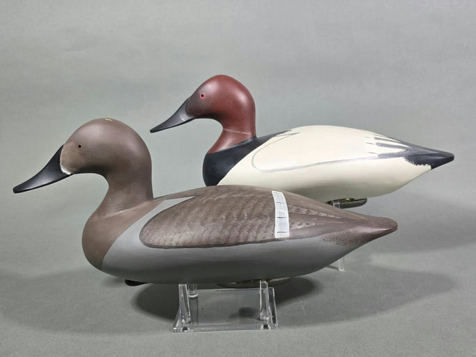 Jim Pierce – Canvasback – 2026