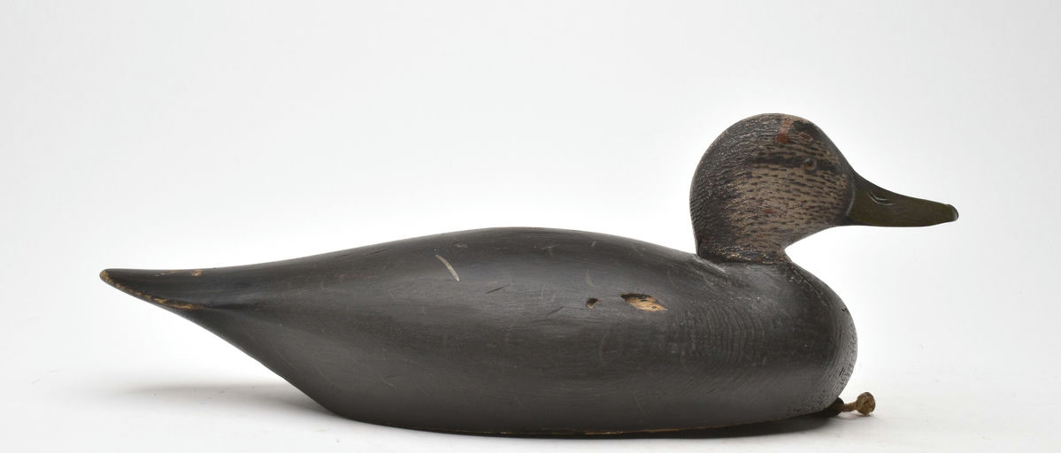 Elmer Crowell – Black Duck – 2026