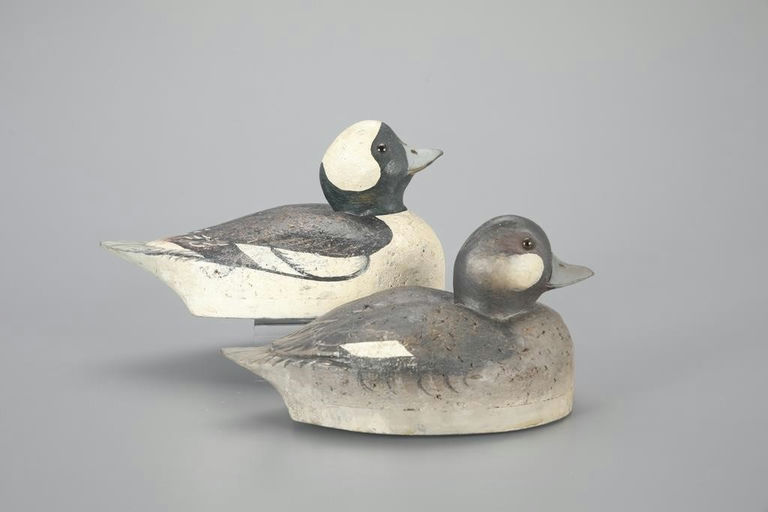 Winsor White – Bufflehead Pair – 2023