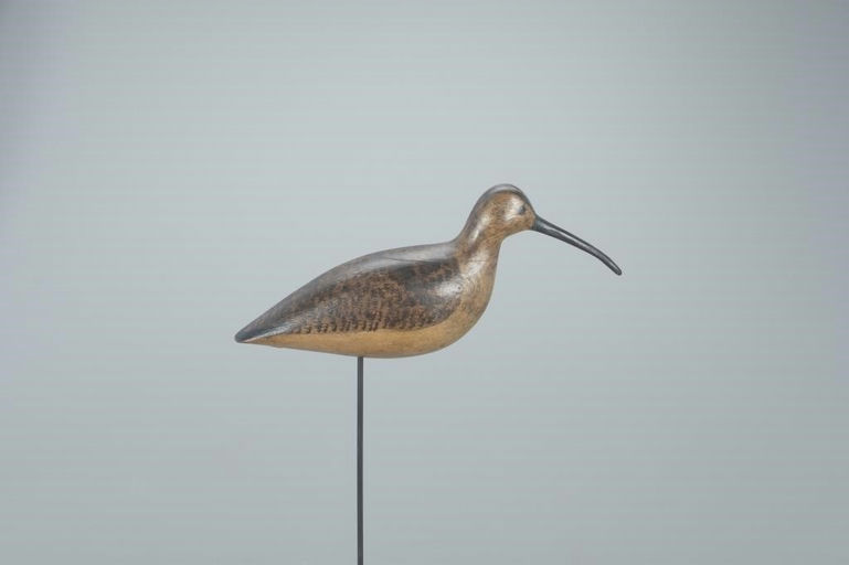Harry V. Shourds – The Mackey-O'Brien Shourds Hudsonian Curlew – 2022