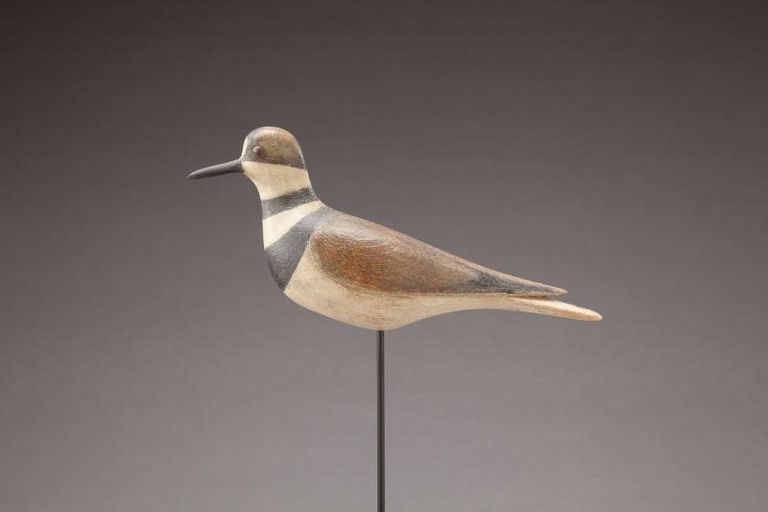 Mark McNair – Killdeer – 2013