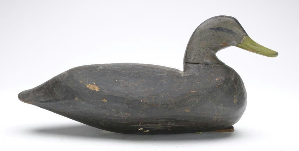 Doug Jester – Black Duck – 2023