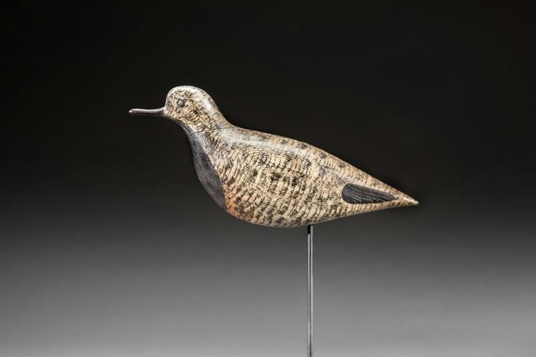 Daniel Demott – Black Bellied Plover – 2016