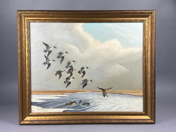 Ward Brothers – Pintail – 2026