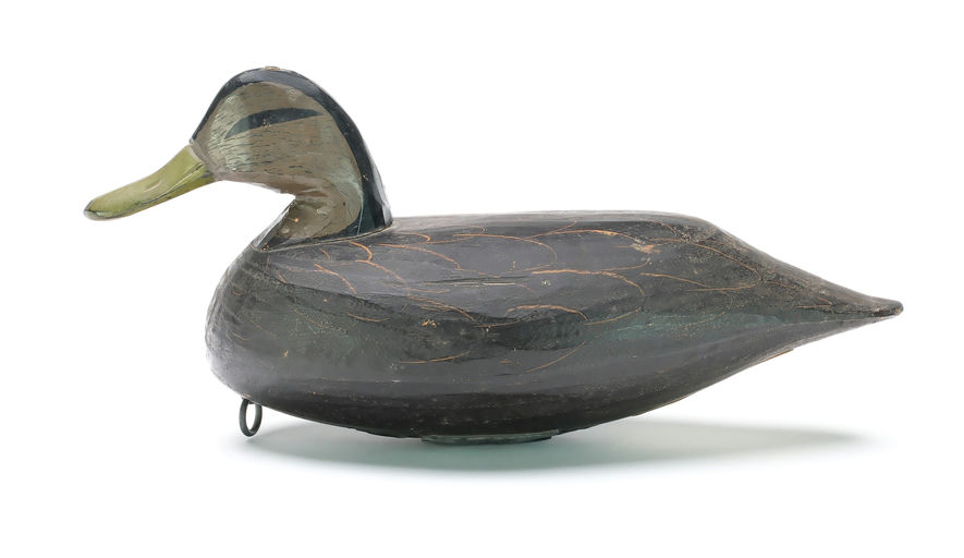 Doug Jester – Black Duck – 2025