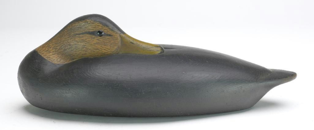 George Strunk – Black Duck – 2023