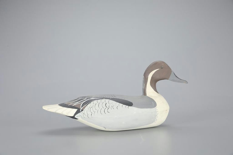Eugene Hendrickson – Pintail Drake – 2023