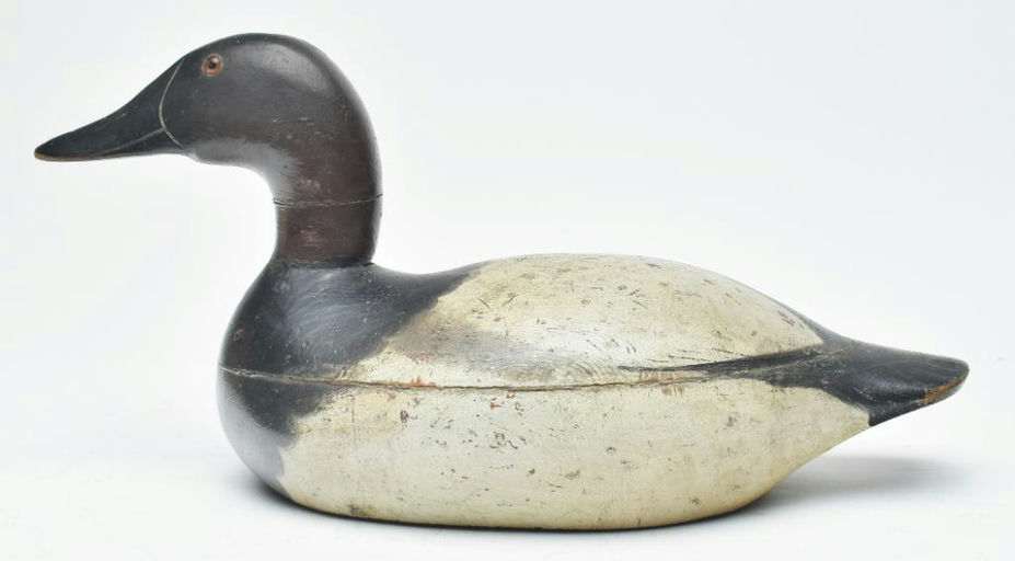 Mason Decoy Factory – Canvasback – 2023
