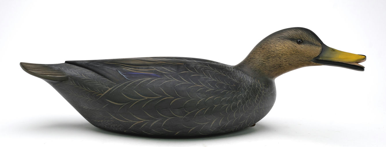 Sean Sutton – Hollow Carved Black Duck In A Swimming Pose – 2024