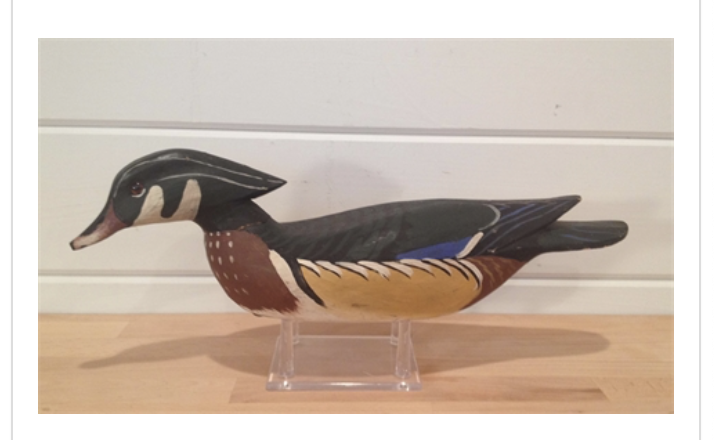Grayson Chesser – Early Swimming Wood Duck – 2015