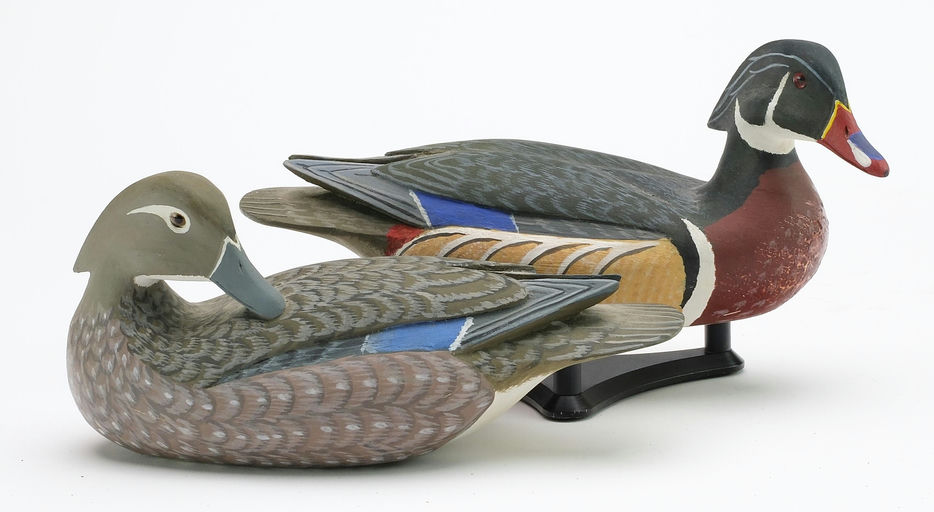 Harry V. Shourds – Wood Duck – 2024