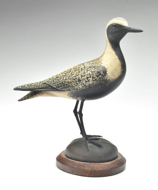 Bill Gibian – Plover – 2023