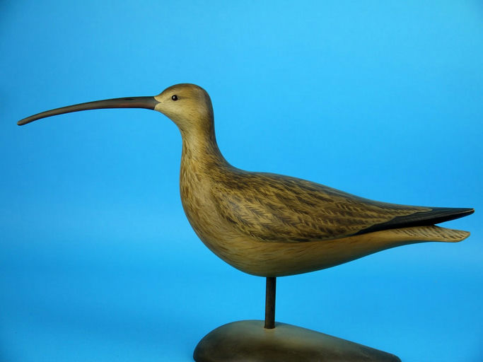 George Strunk – Curlew – 2026