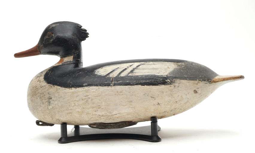 Ira Hudson – Merganser – 2026
