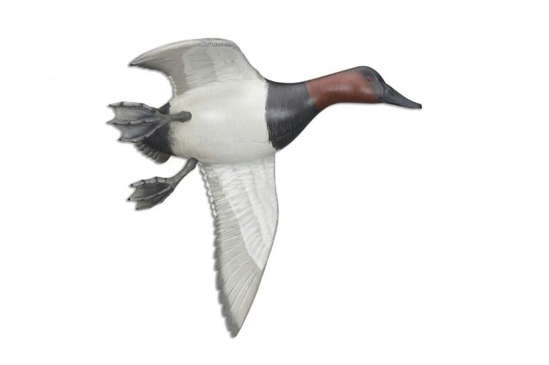 Mike Borrett – Flying Canvasback Pair – 2017
