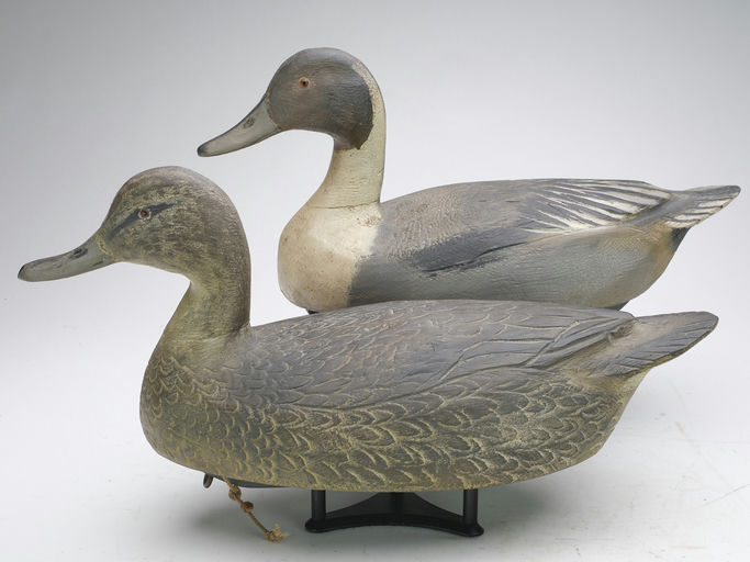 Ben Schmidt – Pair of Pintail – 2024