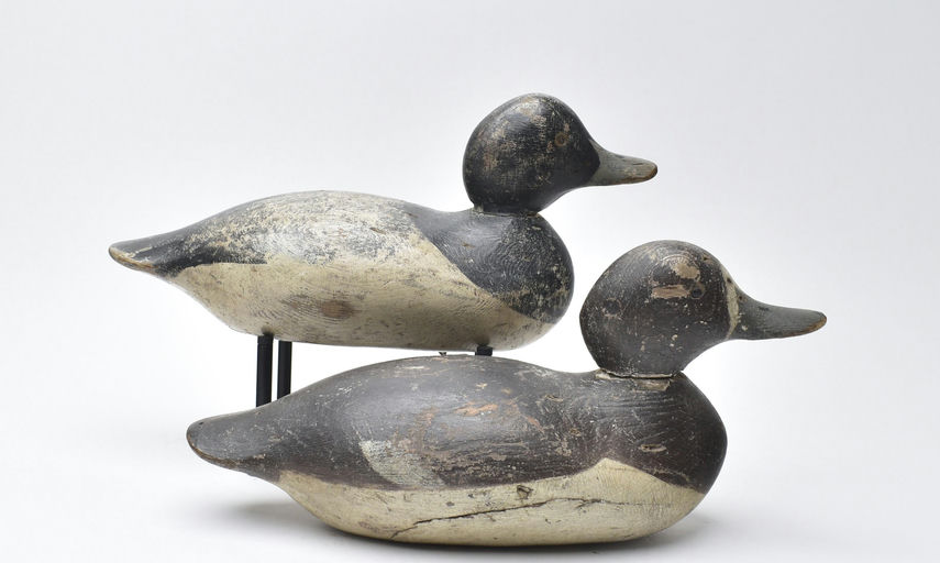 Mason Decoy Factory – Pair of Bluebills – 2025