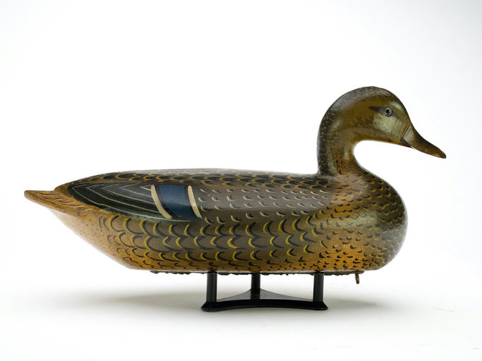 Charles Perdew – Mallard Hen – 2025