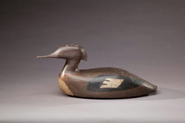 Moses H. Wilcox – Merganser Hen – 2012