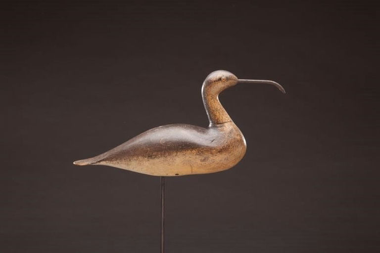 Mason Decoy Factory – Rare Hudsonian Curlew – 2011