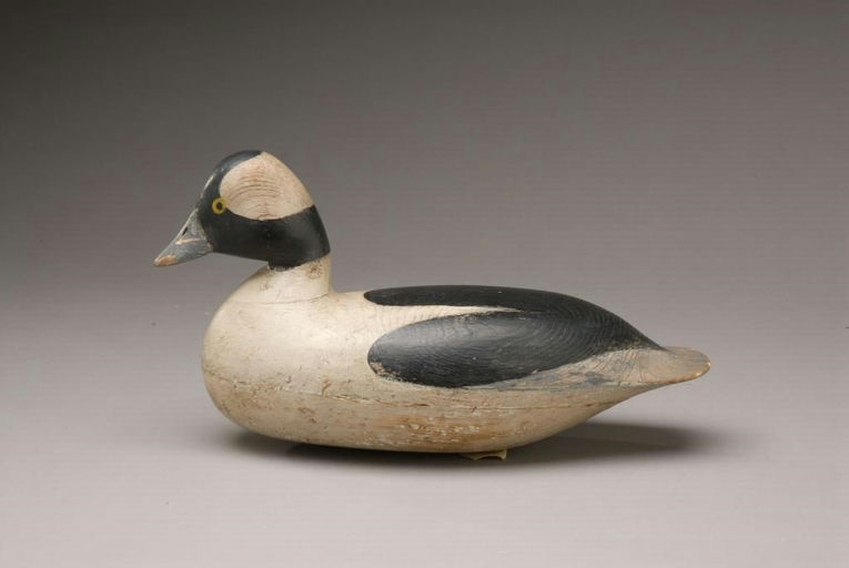 Harry V. Shourds – Bufflehead – 2009