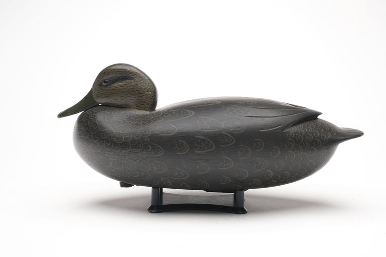 Joe King – Black Duck – 2026