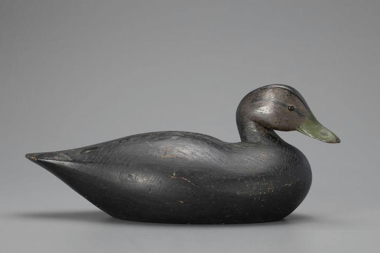 Joseph Lincoln – Rare Turned-Head Black Duck – 2018