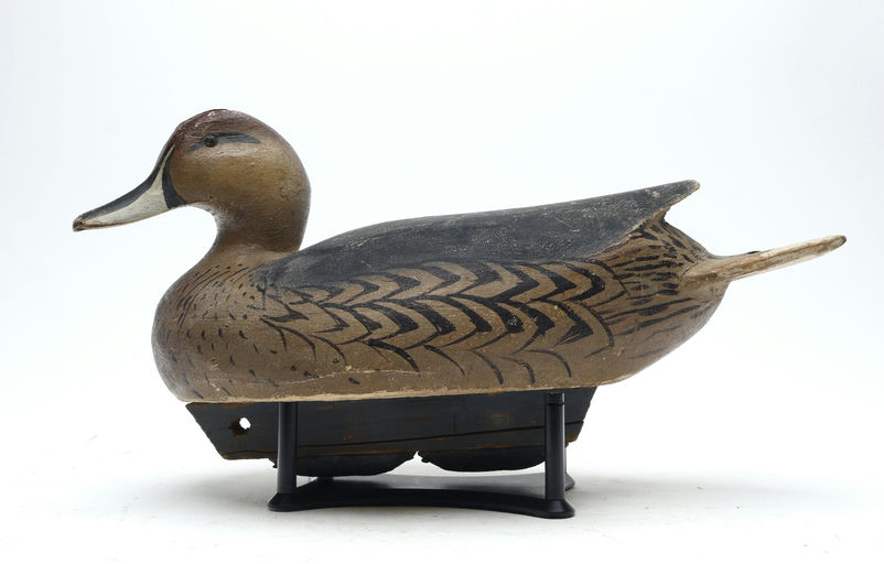 Ward Brothers – Pintail – 2026