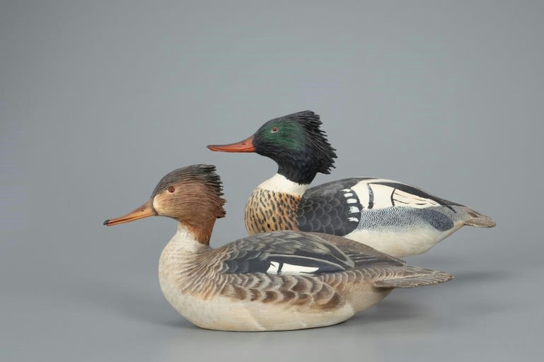 Ward Brothers – Red-Breasted Merganser Pair – 2020